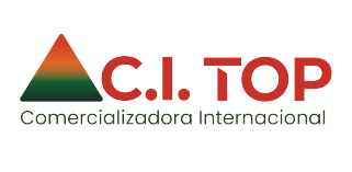 C.I. TOP