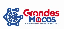 Rodamientos Transmisiones Grandes Marcas