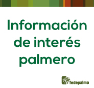 Informacion-sector-palmero