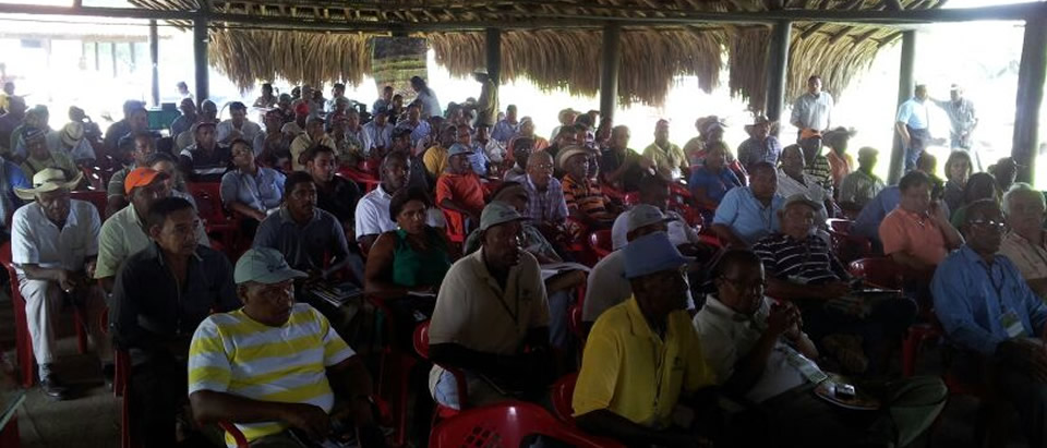 slider_suroccidental