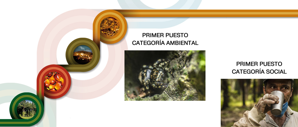 Slider_concursofotografia