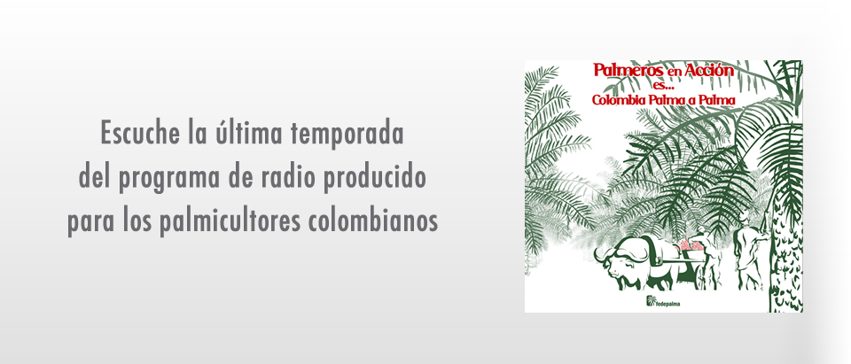 palmeros_accion-ultimatemporada1