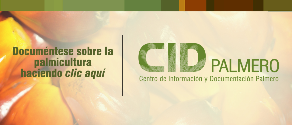 banner_cid_palmero
