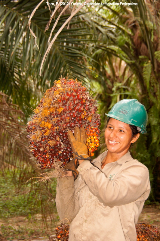 mujer_palmera_campesina_2016