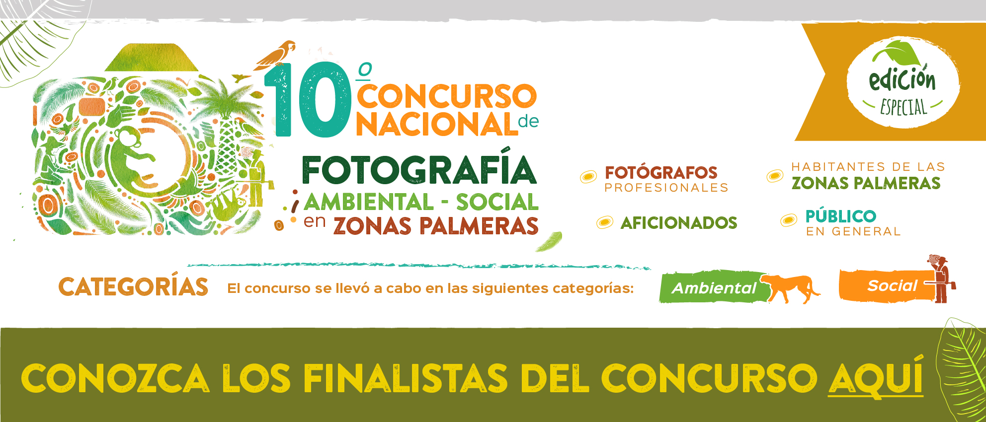 banners-concurso-de-fotografia-web-fedepalma