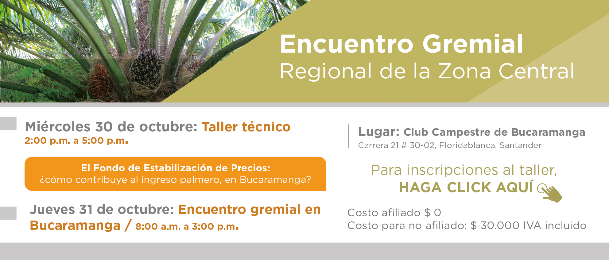 HOME-BANNER-zona-central,-bucaramanga