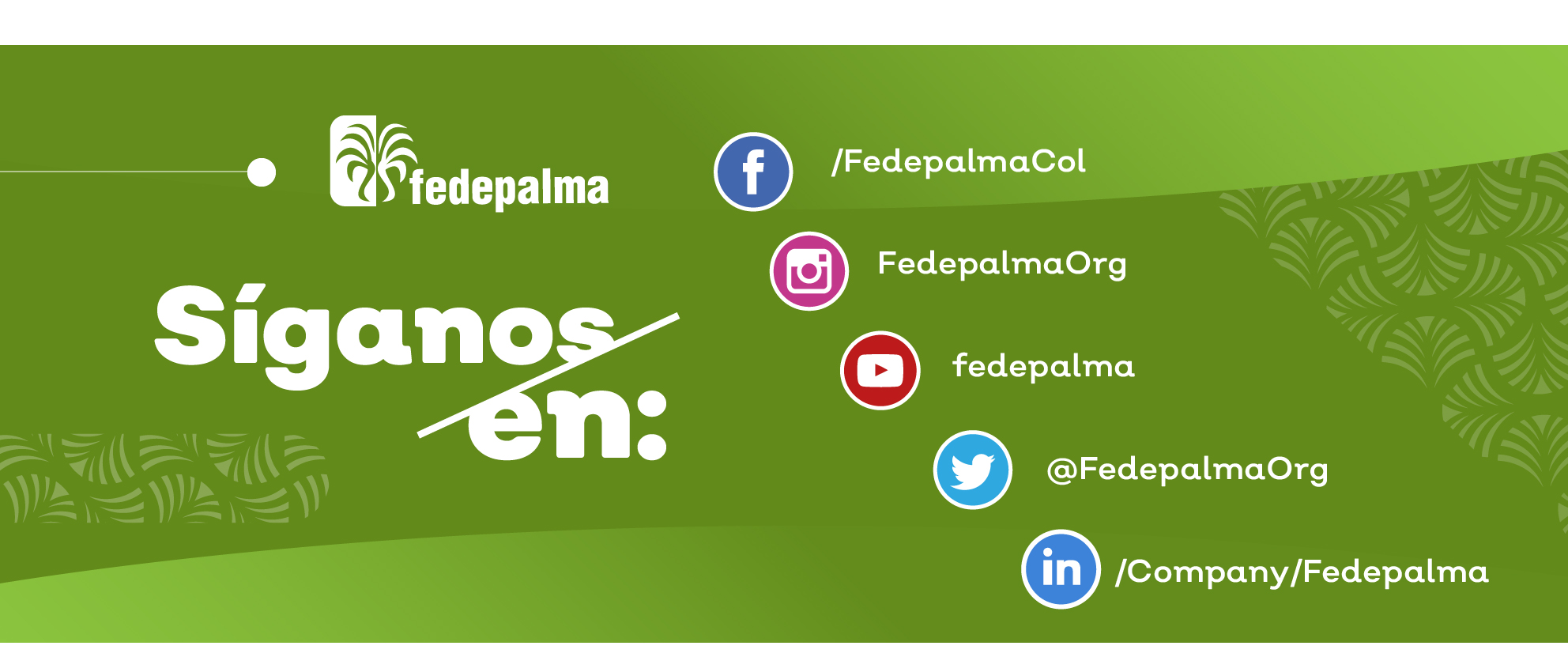banner-redessociales-fedepalma