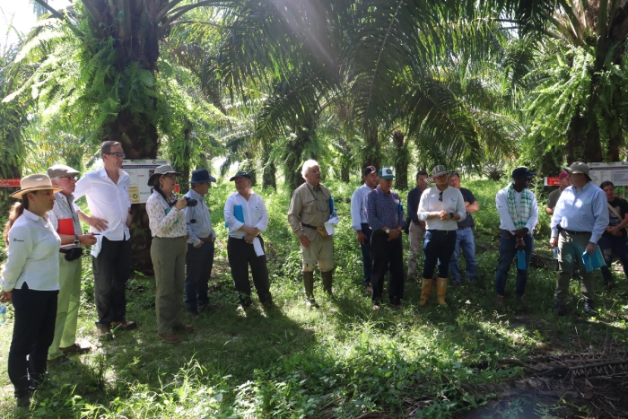 Visita de Junta Directiva de Cenipalma a finca de palmicultora en Sabana de Torres