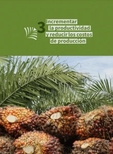 Diapositiva '3. Incrementar la productividad y reducir los costos de producción