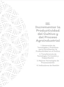 Portada de la Sección III: "Incrementar la Productividad del Cultivo y del Proceso Agroindustrial"