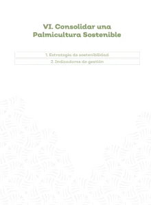 Portada de la Sección VI: "Consolidar una Palmicultura Sostenible", con la lista de contenidos: Estrategia de sostenibilidad e Indicadores de gestión
