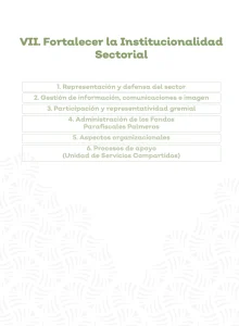 Diapositiva 'VII. Fortalecer la Institucionalidad Sectorial'. La lista de temas incluye: Representación, Gestión de información, Fondos Parafiscales y Procesos de apoyo