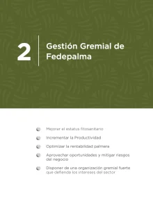 Portada de la Sección 2: "Gestión Gremial de Fedepalma", que lista los objetivos estratégicos del área