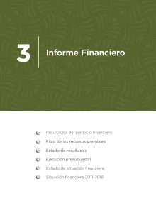 Página de índice o de sección titulada "3 Informe Financiero"