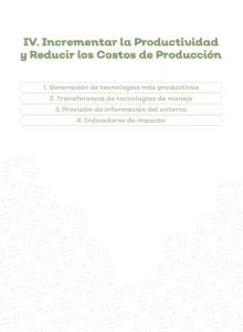 "Título 'IV. Incrementar la Productividad y Reducir los Costos de Producción'