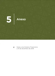 Portada de la sección 5: "Anexo", que contiene las Notas a los Estados Financieros a 31 de diciembre de 2018.