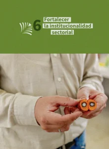 Portada de la Sección 6: "Fortalecer la institucionalidad sectorial", ilustrada con las manos sosteniendo un fruto de palma de aceite
