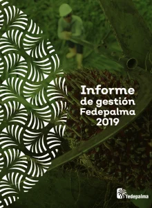 Portada del "Informe de Gestión Fedepalma 2019"