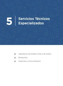 "Diapositiva titulada '5 Servicios Técnicos Especializados'