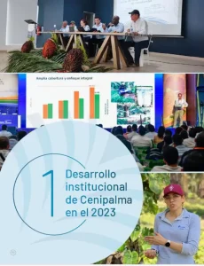 Portada de la Sección 1: "Desarrollo institucional de Cenipalma en el 2023"