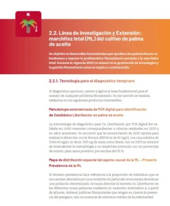 Sección '2.2. Investigación: Marchitez Letal (ML)'. Detalla la tecnología de diagnóstico temprano por PCR digital para detectar Candidatus Liberibacter y el proyecto de Mapa de distribución espacial de la enfermedad