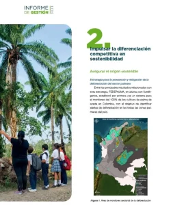 Sección del Informe de Gestión sobre 'Impulsar la diferenciación en sostenibilidad', con estrategia de monitoreo de deforestación (incluye mapa)