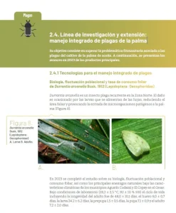 Página de informe sobre la línea de investigación de "Manejo integrado de plagas de la palma", enfocada en la plaga Durrantia arcanella.