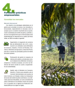 Página de la Sección 4: "Fortalecer prácticas empresariales". Donde se aborda las estrategias para consolidar mercados internacionales.