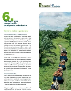 Página '6. Organización inteligente'. Foto: Tractor transportando racimos de palma en el cultivo.