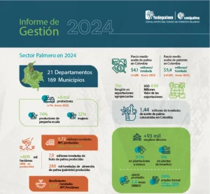 Infografía del 'Informe de Gestión 2024' sobre el 'Sector Palmero en 2024'. Resume estadísticas clave de producción, rendimiento, exportaciones, precios, consumo interno y empleo formal del sector.