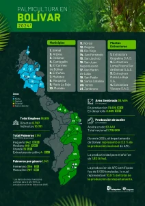 Mapa del departamento de Bolivar que muestra la distribución y principales datos sobre la producción de palma de aceite en la región, incluyendo áreas cultivadas, municipios productores y cifras representativas del sector palmicultor.