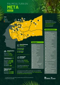 Mapa del departamento del Meta que muestra la distribución y principales datos sobre la producción de palma de aceite en la región, incluyendo áreas cultivadas, municipios productores y cifras representativas del sector palmicultor.