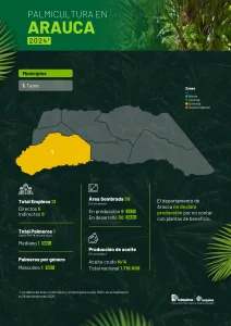 Mapa del departamento de Arauca que muestra la distribución y principales datos sobre la producción de palma de aceite en la región, incluyendo áreas cultivadas, municipios productores y cifras representativas del sector palmicultor.