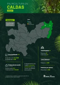 Mapa del departamento de Caldas que muestra la distribución y principales datos sobre la producción de palma de aceite en la región, incluyendo áreas cultivadas, municipios productores y cifras representativas del sector palmicultor.