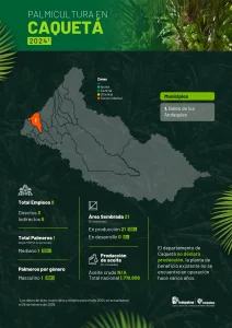 Mapa del departamento de Caquetá que muestra la distribución y principales datos sobre la producción de palma de aceite en la región, incluyendo áreas cultivadas, municipios productores y cifras representativas del sector palmicultor.