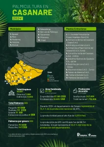 Mapa del departamento de Casanare que muestra la distribución y principales datos sobre la producción de palma de aceite en la región, incluyendo áreas cultivadas, municipios productores y cifras representativas del sector palmicultor.