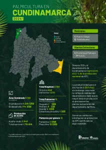 Mapa del departamento de Cundinamarca que muestra la distribución y principales datos sobre la producción de palma de aceite en la región, incluyendo áreas cultivadas, municipios productores y cifras representativas del sector palmicultor.