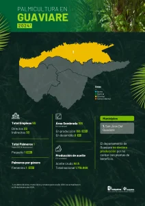 Mapa del departamento de Guaviare que muestra la distribución y principales datos sobre la producción de palma de aceite en la región, incluyendo áreas cultivadas, municipios productores y cifras representativas del sector palmicultor.
