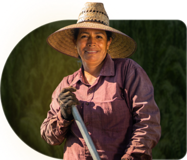 cedulas_estado_cedula