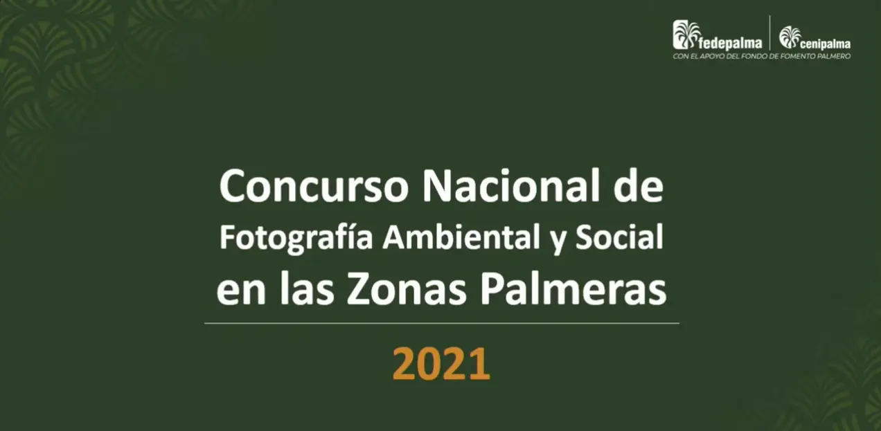 concurso nacional de fotografia