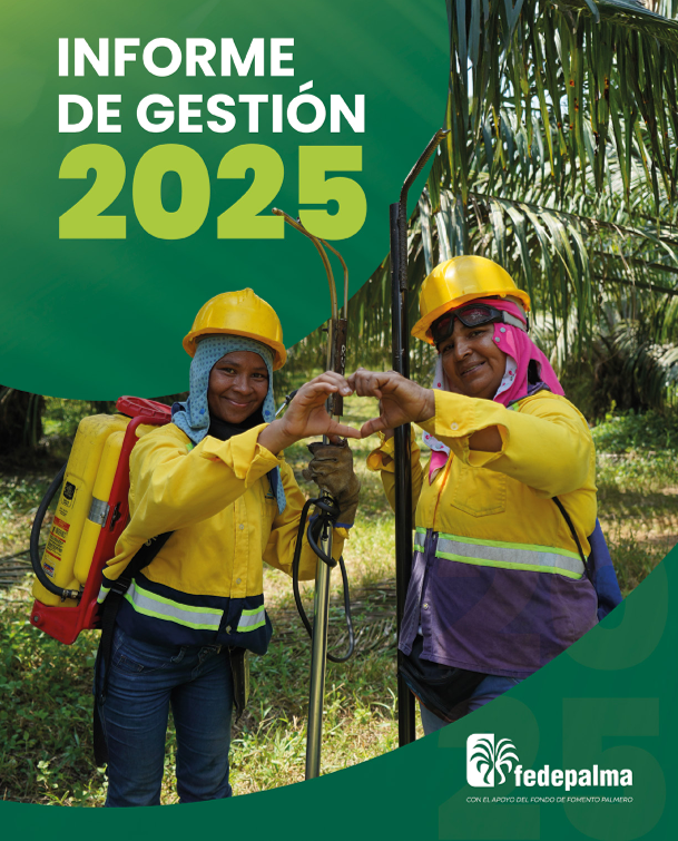 Informe 2025