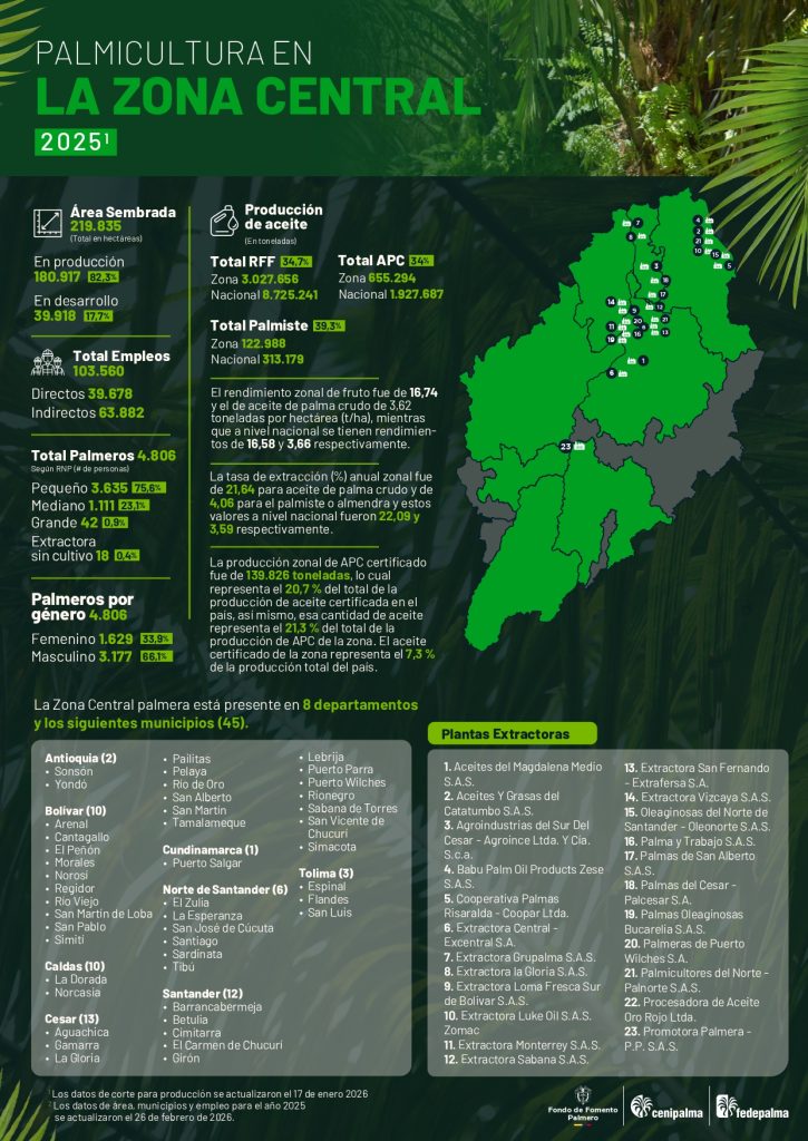 Mapa infografia palma de aceite en colombia - Zona central 