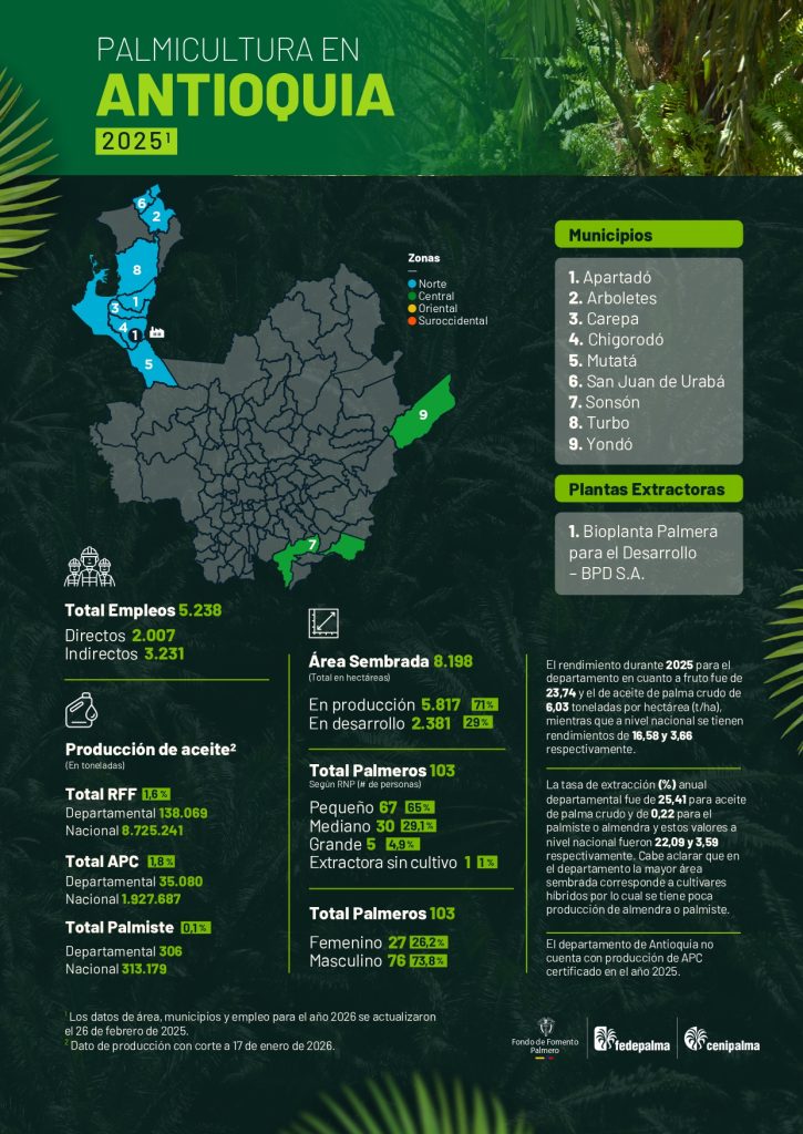 Mapa del departamento de Antioquia que muestra la distribución y principales datos sobre la producción de palma de aceite en la región, incluyendo áreas cultivadas, municipios productores y cifras representativas del sector palmicultor.