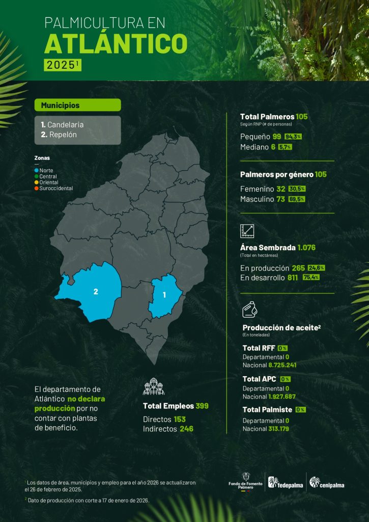 Mapa del departamento de Atlántico que muestra la distribución y principales datos sobre la producción de palma de aceite en la región, incluyendo áreas cultivadas, municipios productores y cifras representativas del sector palmicultor.