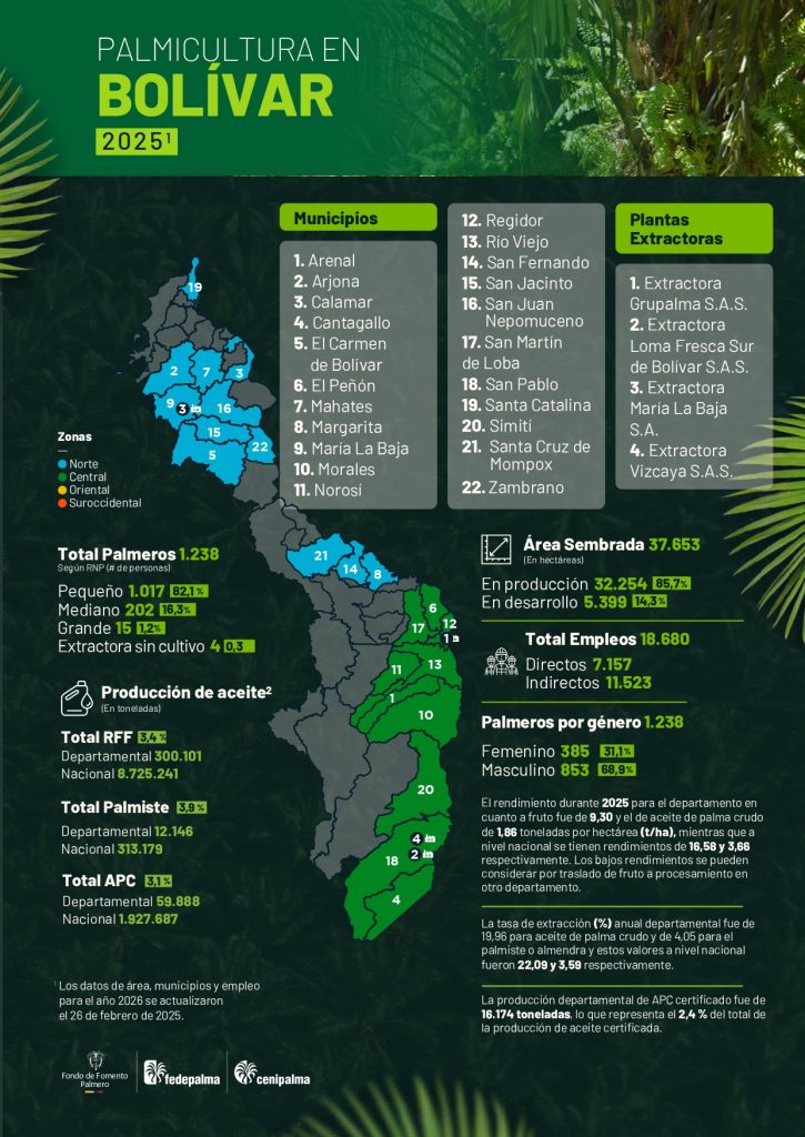 Mapa del departamento de Antioquia que muestra la distribución y principales datos sobre la producción de palma de aceite en la región, incluyendo áreas cultivadas, municipios productores y cifras representativas del sector palmicultor.