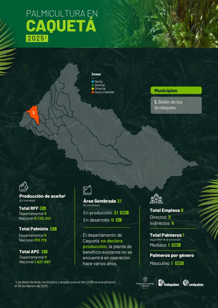 Mapa del departamento de Caquetá que muestra la distribución y principales datos sobre la producción de palma de aceite en la región, incluyendo áreas cultivadas, municipios productores y cifras representativas del sector palmicultor.