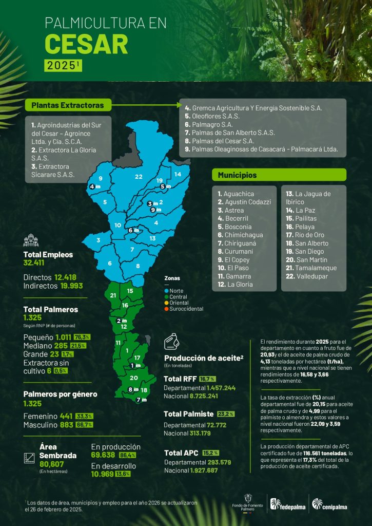 Mapa del departamento de Cesar que muestra la distribución y principales datos sobre la producción de palma de aceite en la región, incluyendo áreas cultivadas, municipios productores y cifras representativas del sector palmicultor.