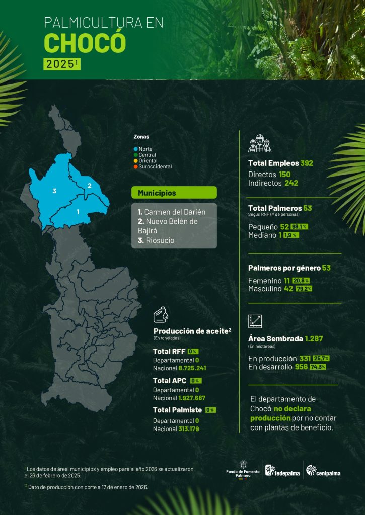Mapa del departamento de Choco que muestra la distribución y principales datos sobre la producción de palma de aceite en la región, incluyendo áreas cultivadas, municipios productores y cifras representativas del sector palmicultor.