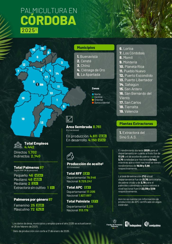 Mapa del departamento de Cordoba que muestra la distribución y principales datos sobre la producción de palma de aceite en la región, incluyendo áreas cultivadas, municipios productores y cifras representativas del sector palmicultor.