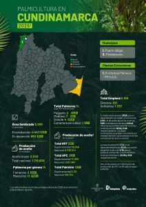 Mapa del departamento de Cundimarca que muestra la distribución y principales datos sobre la producción de palma de aceite en la región, incluyendo áreas cultivadas, municipios productores y cifras representativas del sector palmicultor.